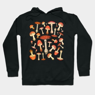 Fly Agaric Mushrooms, Hoodie